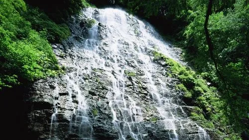 精密数字化